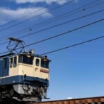 せん さんのプロフィール写真