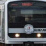 Mari さんのプロフィール写真