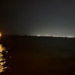 やりいか さんのプロフィール写真