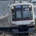 はこふぐ さんのプロフィール写真